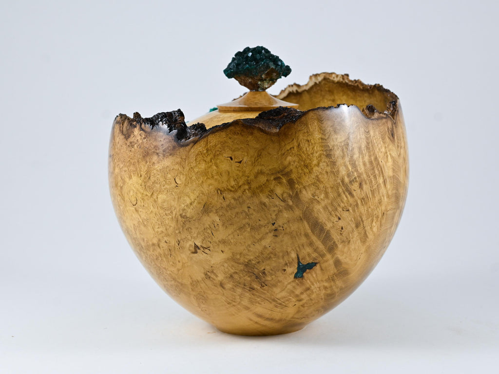Handmade Black Locust Burl Urn: Dioptase Lid, Green mineral Inlay (240 c.i.)