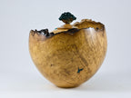 Handmade Black Locust Burl Urn: Dioptase Lid, Green mineral Inlay (240 c.i.)
