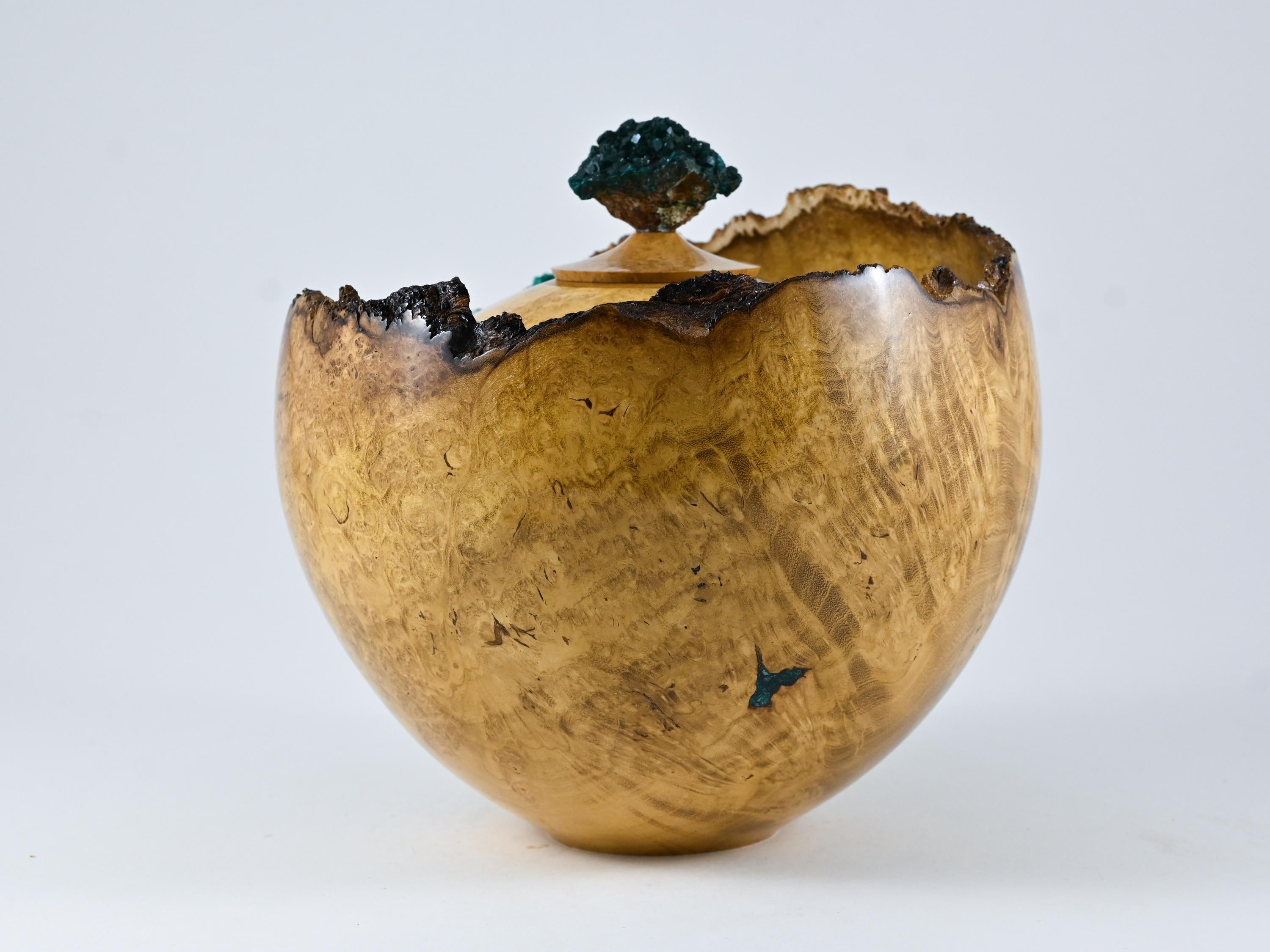 Handmade Black Locust Burl Urn: Dioptase Lid, Green mineral Inlay (240 c.i.)