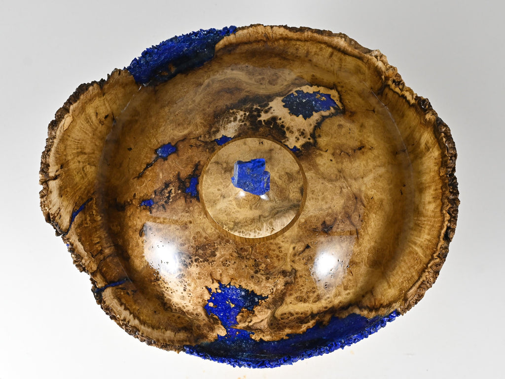 Handmade Black Locust Burl Urn: Lapis Lazuli lid, Blue Minerals & Gold Inlay (215 c.i.)