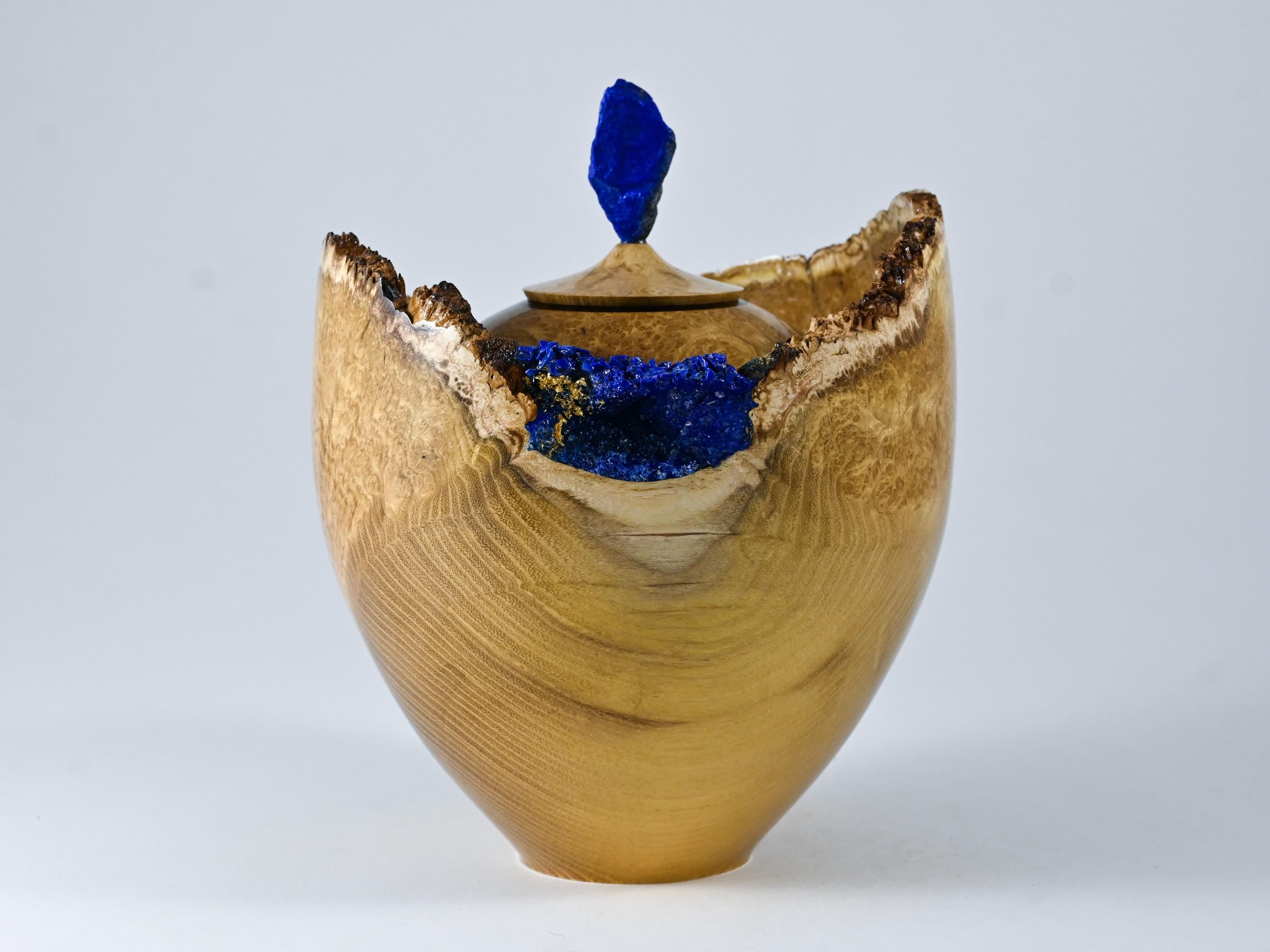 Handmade Black Locust Burl Urn: Lapis Lazuli lid, Blue Minerals & Gold Inlay (140 c.i.)