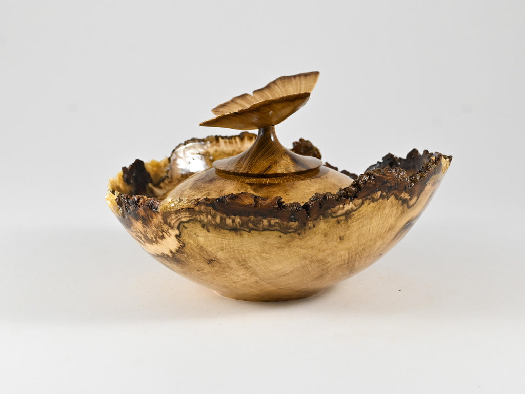 Small Handmade Black Locust Burl wood urn, Calcite inlay, butterfly lid (40 c.i.)
