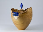 Handmade Black Locust Burl Urn: Lapis Lazuli lid, Blue Minerals & Gold Inlay (140 c.i.)