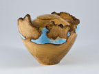 Handmade Black Locust Burl Wood Urn, light blue mineral and gold inlay (90 c.i.)