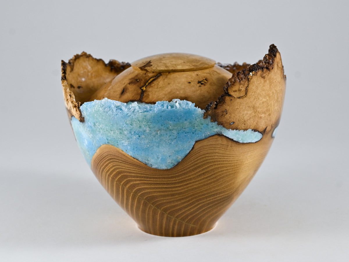 Handmade Black Locust Burl Wood Urn, light blue mineral and gold inlay (90 c.i.)