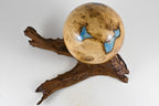 Handmade Black Locust Burl Wood Urn with Blue Mineral Inlay on Mangrove Root (220c.i.)