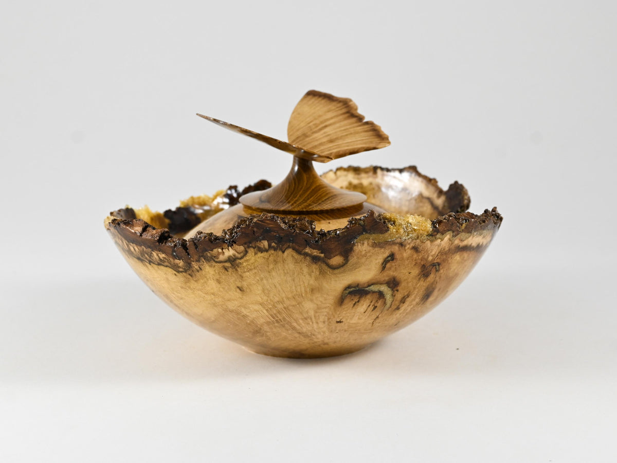 Small Handmade Black Locust Burl wood urn, Calcite inlay, butterfly lid (40 c.i.)