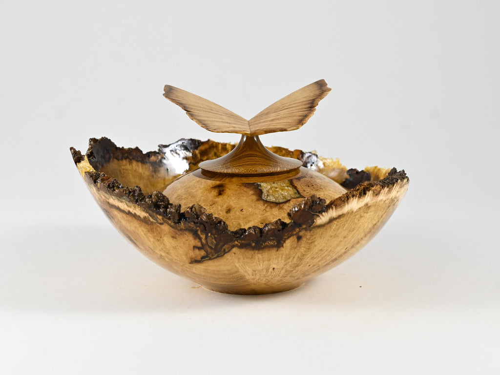 Small Handmade Black Locust Burl wood urn, Calcite inlay, butterfly lid (40 c.i.)