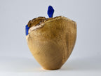 Handmade Black Locust Burl Urn: Lapis Lazuli lid, Blue Minerals & Gold Inlay (140 c.i.)