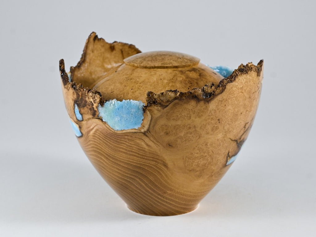 Handmade Black Locust Burl Wood Urn, light blue mineral and gold inlay (90 c.i.)