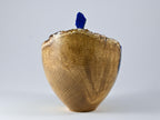 Handmade Black Locust Burl Urn: Lapis Lazuli lid, Blue Minerals & Gold Inlay (140 c.i.)