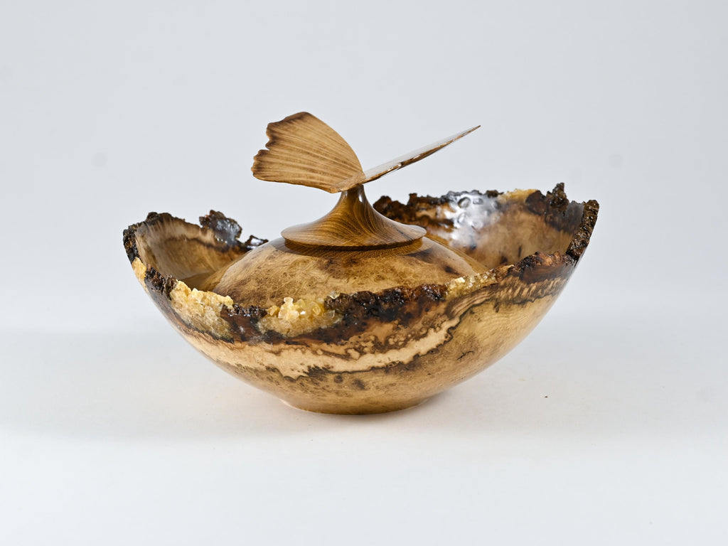 Small Handmade Black Locust Burl wood urn, Calcite inlay, butterfly lid (40 c.i.)
