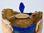 Handmade Black Locust Burl Urn: Lapis Lazuli lid, Blue Minerals & Gold Inlay (140 c.i.)