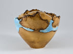 Handmade Black Locust Burl Wood Urn, light blue mineral and gold inlay (90 c.i.)
