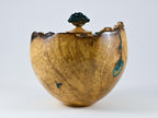 Handmade Black Locust Burl Urn: Dioptase Lid, Green mineral Inlay (240 c.i.)