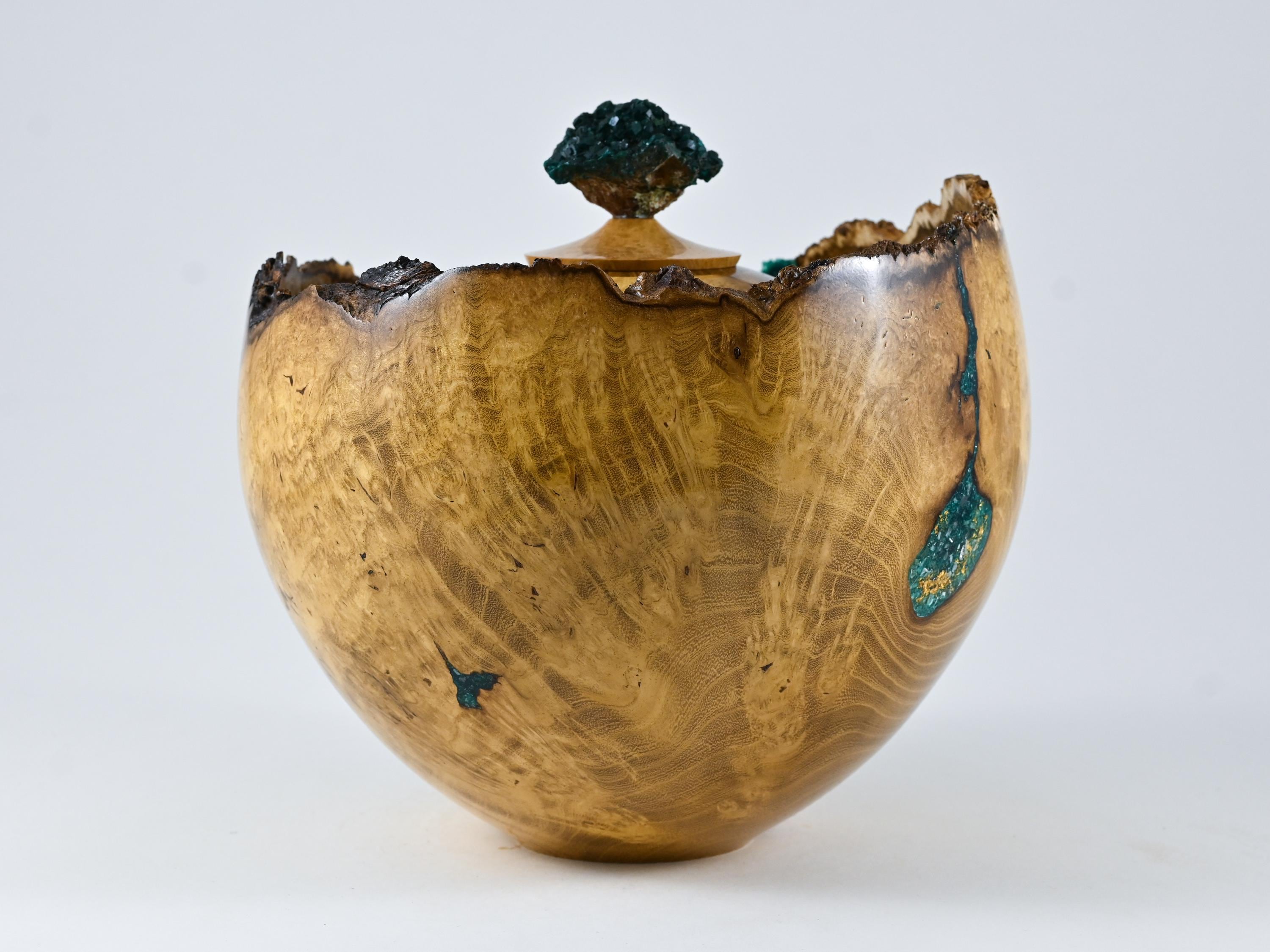 Handmade Black Locust Burl Urn: Dioptase Lid, Green mineral Inlay (240 c.i.)