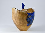 Handmade Black Locust Burl Urn: Lapis Lazuli lid, Blue Minerals & Gold Inlay (140 c.i.)