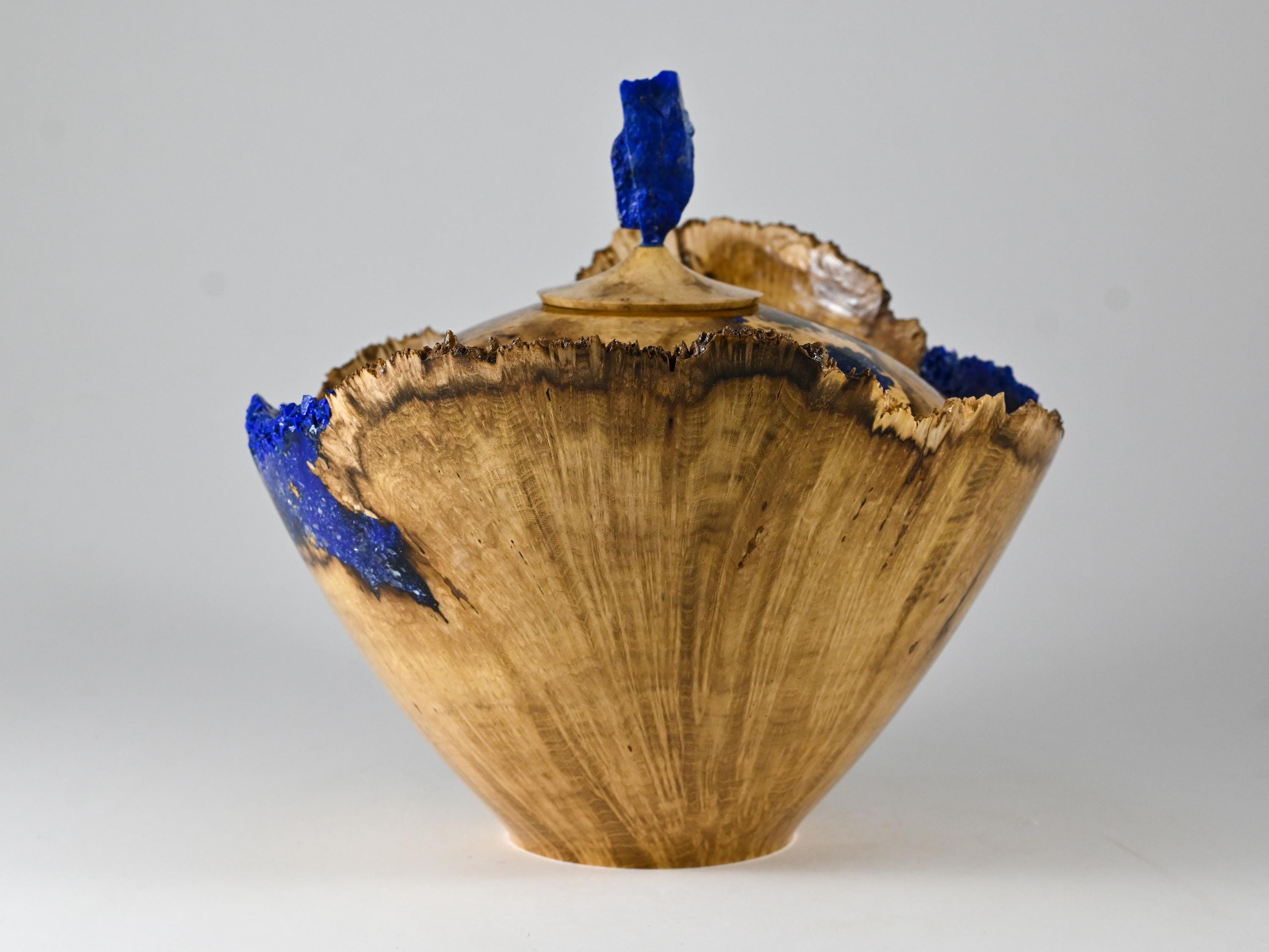 Handmade Black Locust Burl Urn: Lapis Lazuli lid, Blue Minerals & Gold Inlay (215 c.i.)