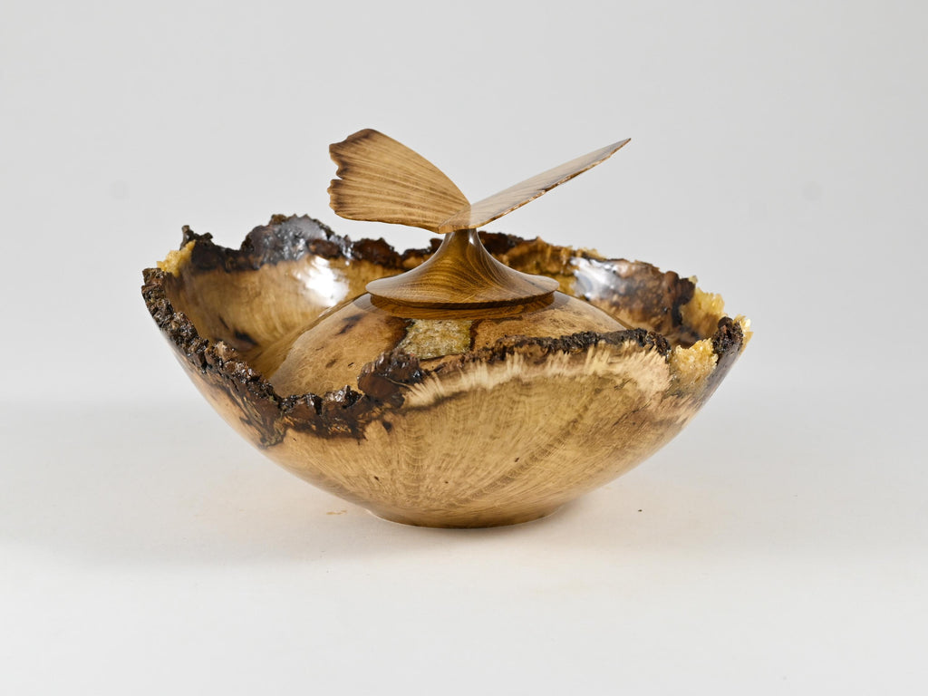 Small Handmade Black Locust Burl wood urn, Calcite inlay, butterfly lid (40 c.i.)