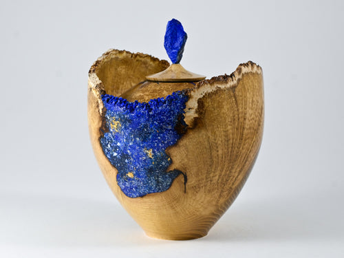 Handmade Black Locust Burl Urn: Lapis Lazuli lid, Blue Minerals & Gold Inlay (140 c.i.)