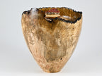 Handmade Maple Burl Wood Urn, Vanadinite lid (220 c.i)