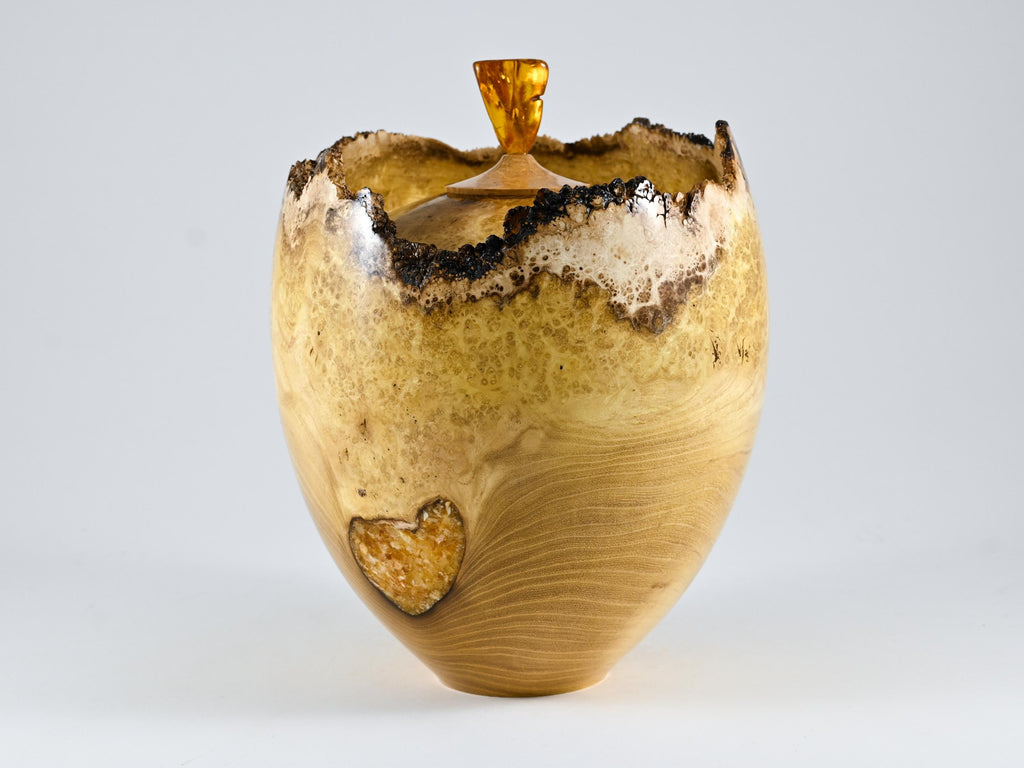Handmade Black Locust Burl Wood Urn, Amber Inlay & Lid (210 c.i.)