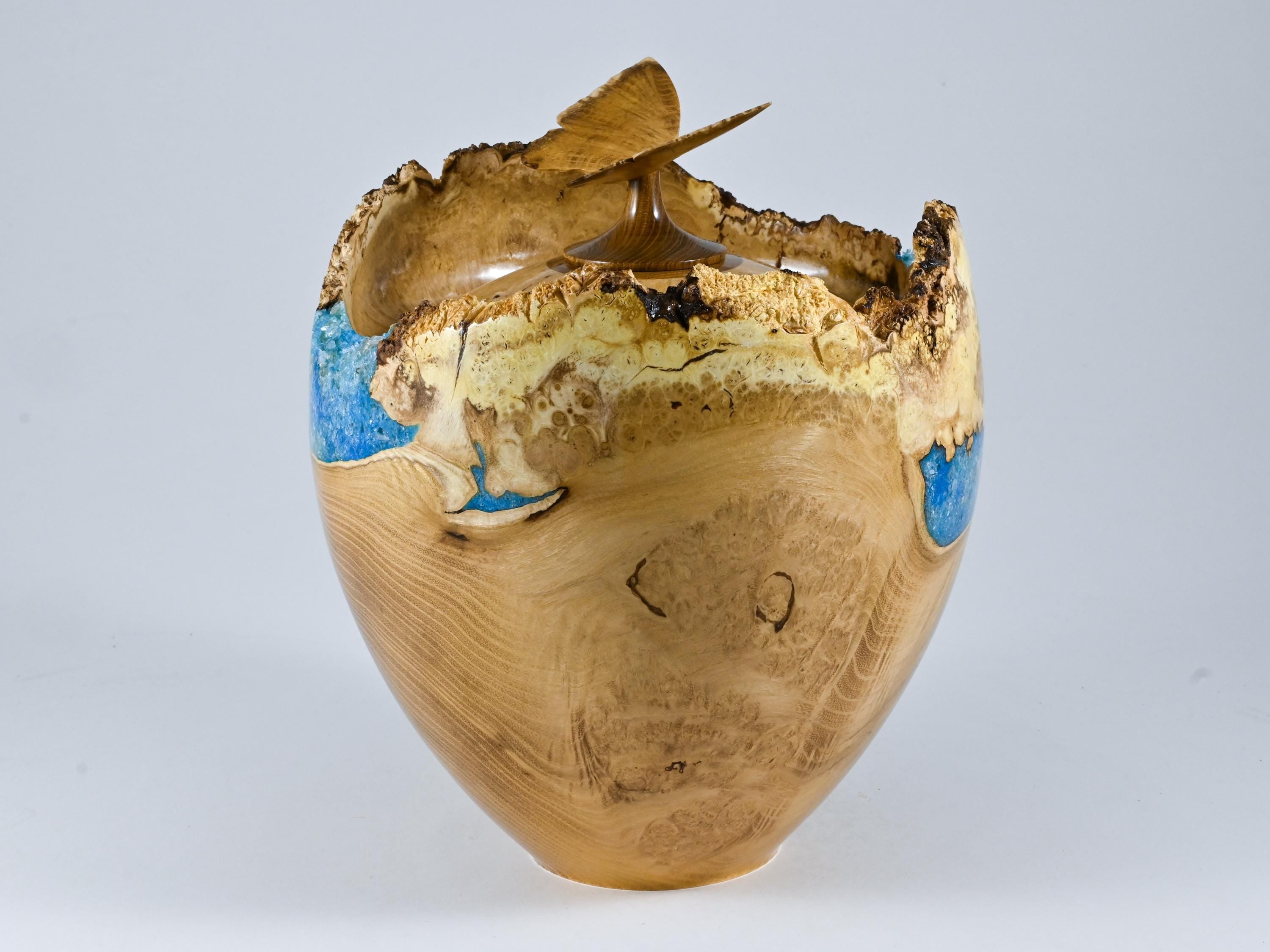 Handmade Black Locust Burl Wood Urn: Light Blue Mineral inlay, Butterfly Lid (240 c.i.)