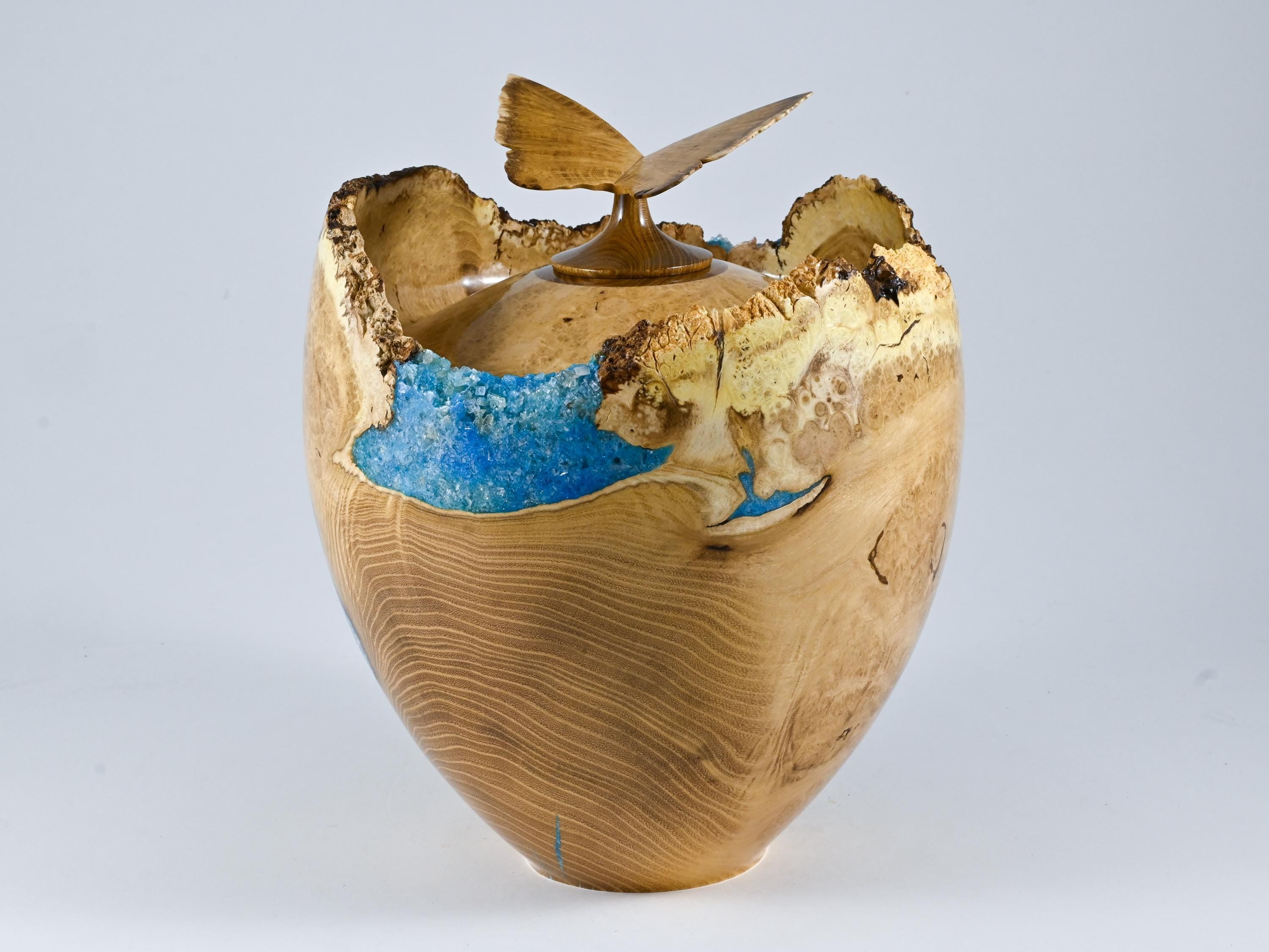 Handmade Black Locust Burl Wood Urn: Light Blue Mineral inlay, Butterfly Lid (240 c.i.)