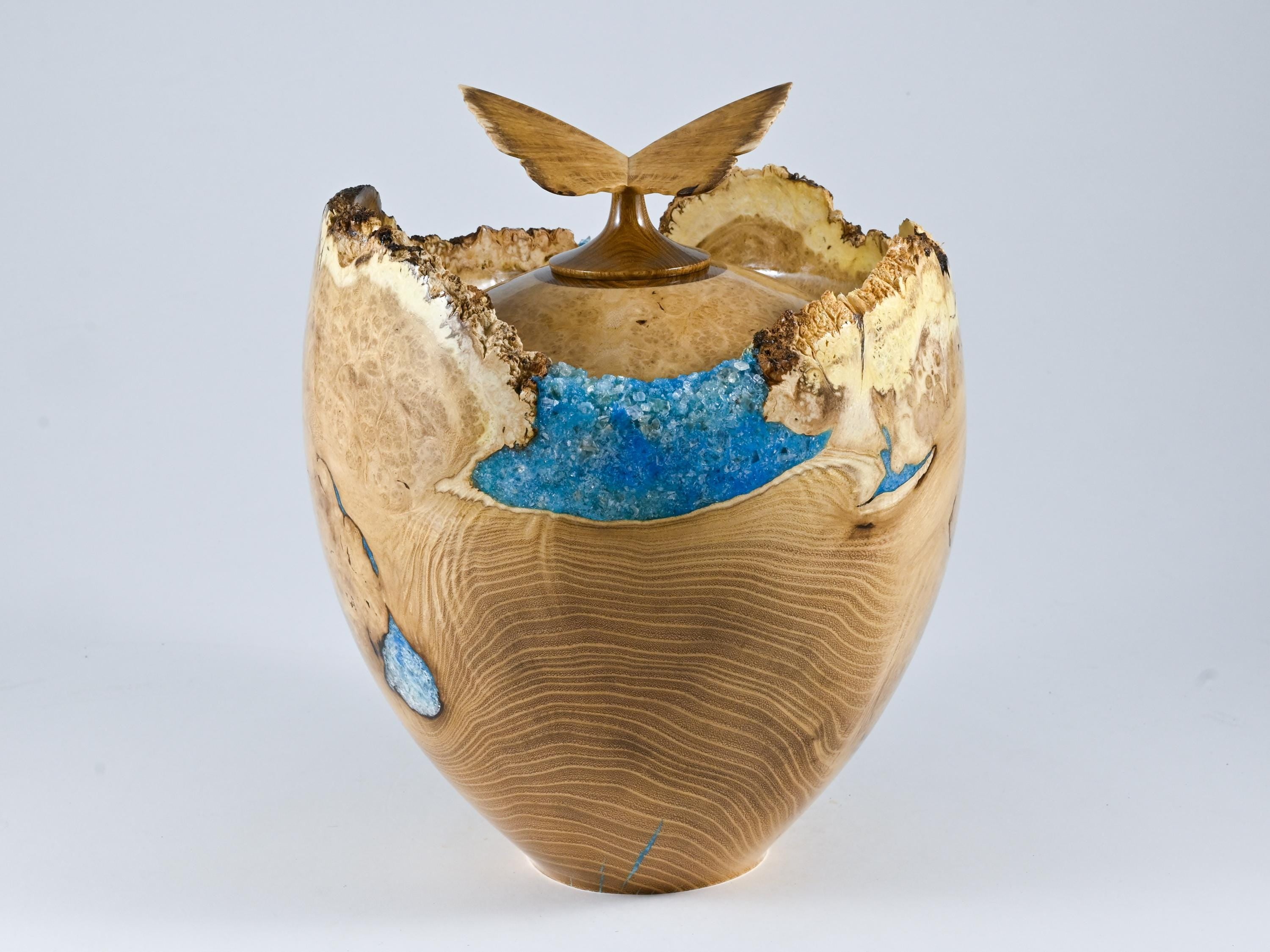Handmade Black Locust Burl Wood Urn: Light Blue Mineral inlay, Butterfly Lid (240 c.i.)