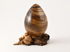 Handmade Zebra Wood Urn, Mangrove root (70 c.i.)