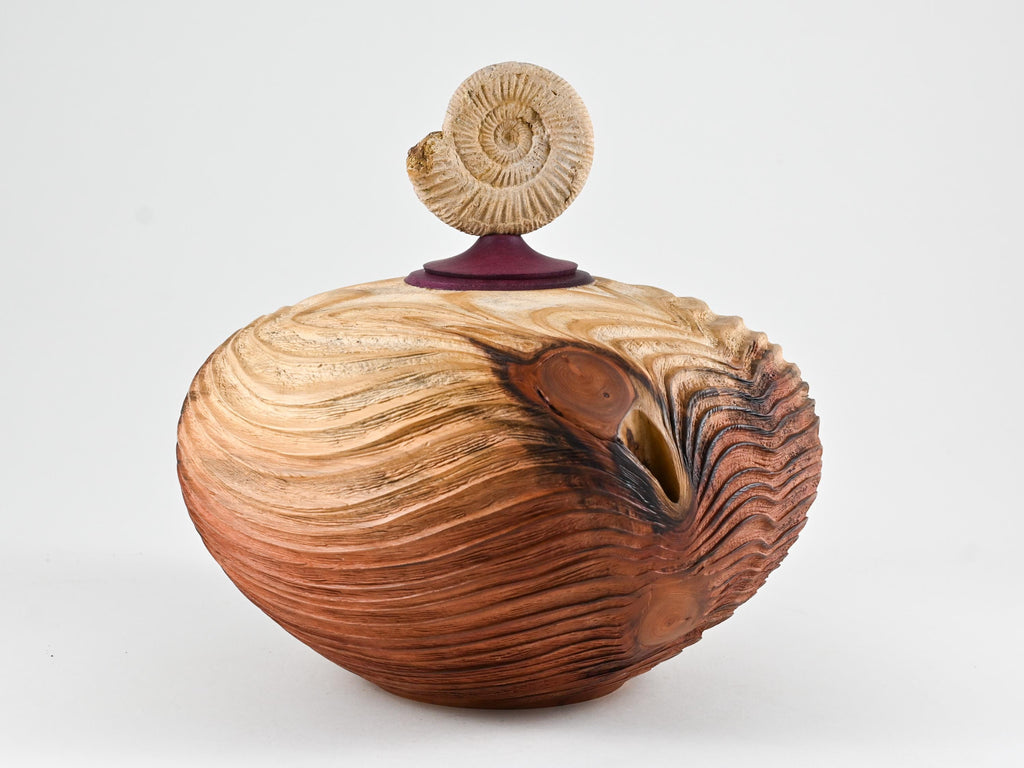 Handmade Sequoia Wood Urn, Ammonite lid ( 290 c.i)