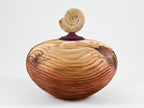 Handmade Sequoia Wood Urn, Ammonite lid ( 290 c.i)