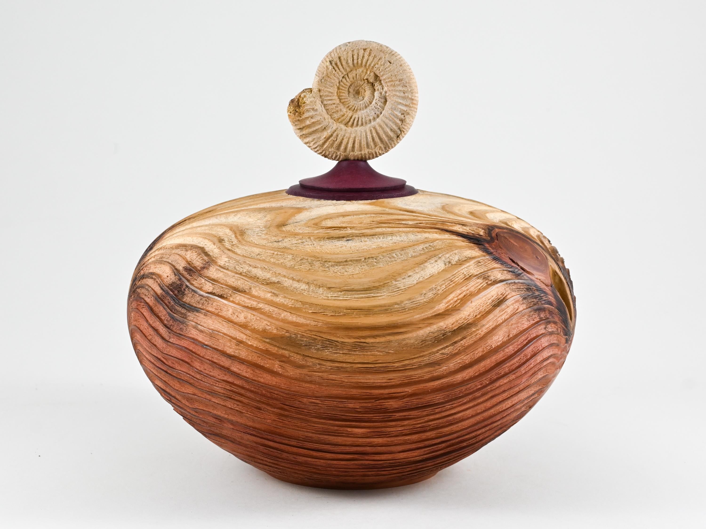 Handmade Sequoia Wood Urn, Ammonite lid ( 290 c.i)