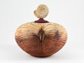 Handmade Sequoia Wood Urn, Ammonite lid ( 290 c.i)