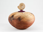 Handmade Sequoia Wood Urn, Ammonite lid ( 290 c.i)