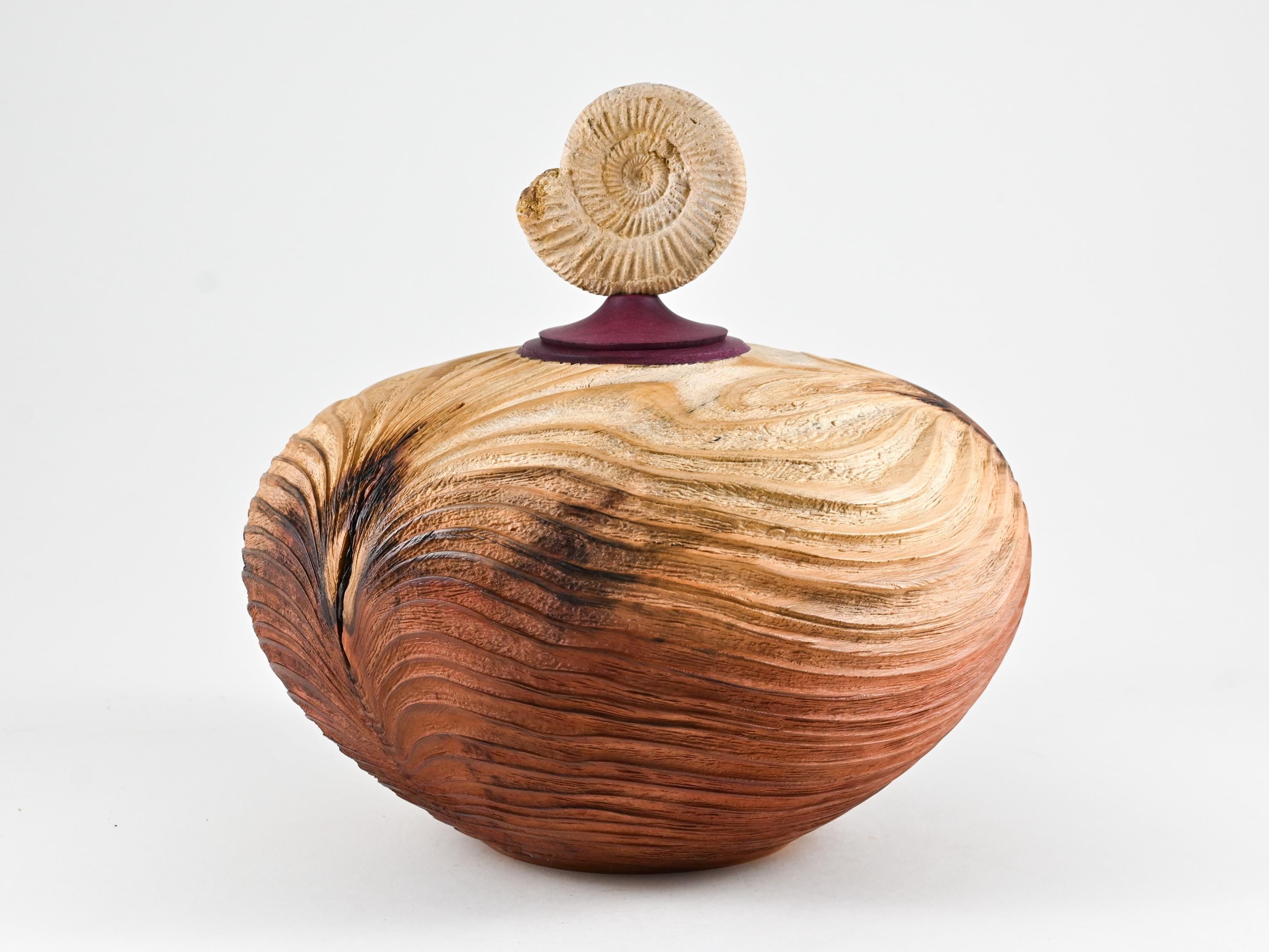 Handmade Sequoia Wood Urn, Ammonite lid ( 290 c.i)
