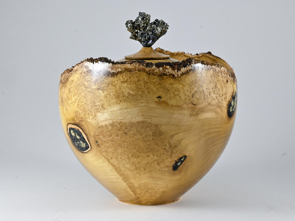 XL Handmade Black Locust Burl Urn: Pyrite lid, Black Minerals & Gold Inlay (330 c.i.)