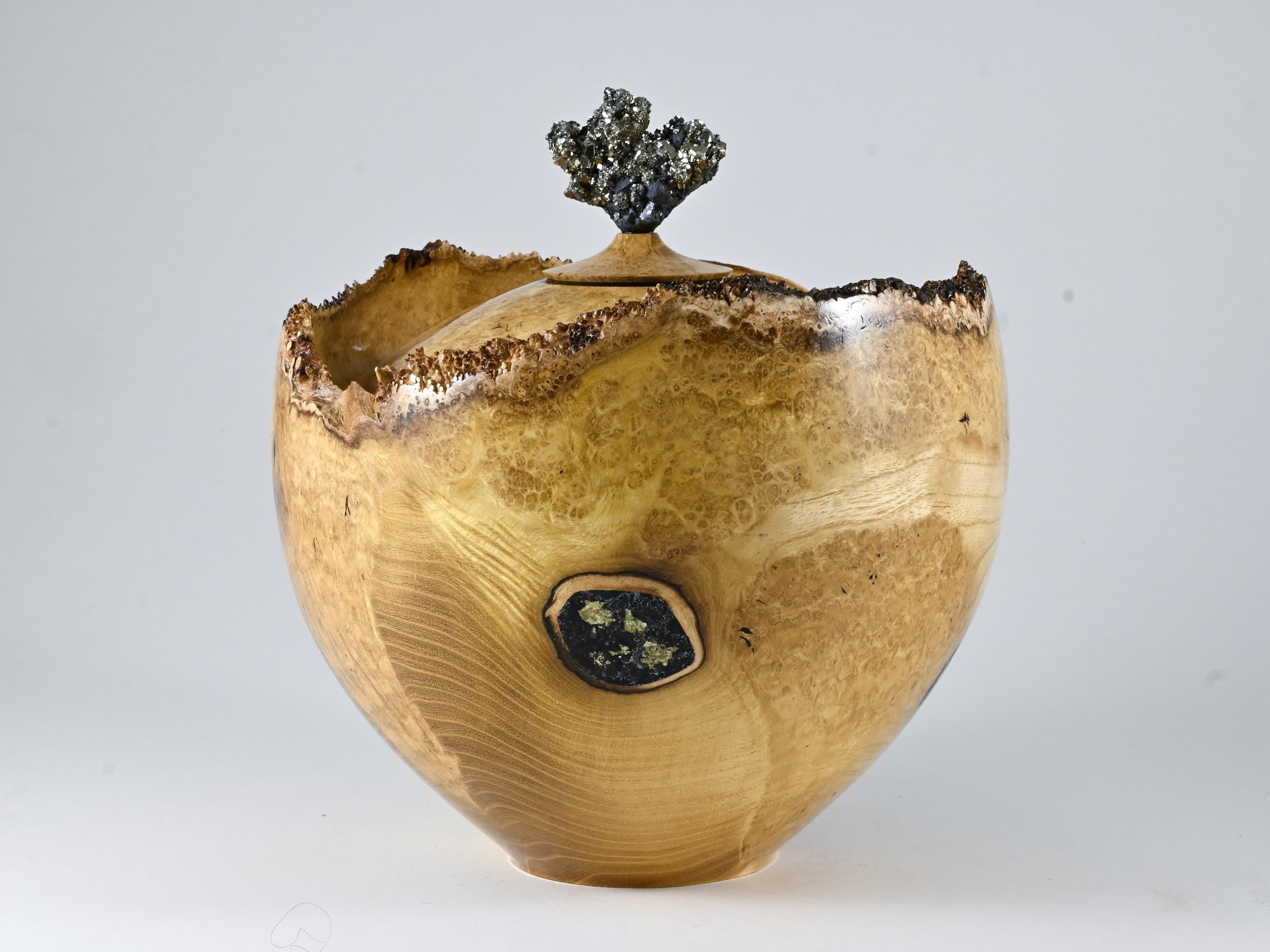 XL Handmade Black Locust Burl Urn: Pyrite lid, Black Minerals & Gold Inlay (330 c.i.)